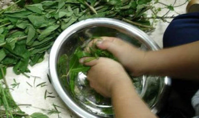 banhos-para-sexta-feira 5 banhos para sexta-feira